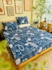 set-ga-goi-chan-bong-la-xanh-navy-sggcb244