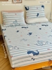 set-ga-goi-cotton-ca-voi-xanh-sggct301