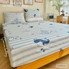 set-ga-goi-cotton-ca-voi-xanh-sggct301