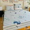 set-ga-goi-cotton-ca-voi-xanh-sggct301