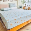 set-ga-goi-cotton-gau-caro-xanh-sggct303