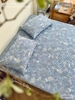 set-ga-goi-cotton-silk-han-nai-xinh-sggsh58