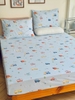 set-ga-goi-cotton-o-to-sggct326
