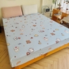 set-ga-goi-cotton-cun-caro-sggct337