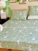 set-ga-goi-cotton-tho-hoa-cuc-sggct342
