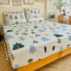 set-ga-goi-cotton-rung-thong-ikea-sggct344