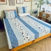 set-ga-goi-cotton-sao-soc-xanh-sggct347