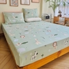 set-ga-goi-cotton-su-tu-xanh-sggct353