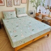 set-ga-goi-cotton-su-tu-xanh-sggct353