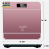 CÂN SỨC KHỎE ISCALE PLUS HÌNH IPHONE