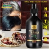 DẦU GỘI LÀM ĐEN TÓC LINH CHI HÀ THỦ Ô ALICONUM MELI NỘI ĐỊA TRUNG- NGỪA RỤNG TÓC PHỤC HỒI HƯ TỔN