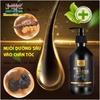 DẦU GỘI LÀM ĐEN TÓC LINH CHI HÀ THỦ Ô ALICONUM MELI NỘI ĐỊA TRUNG- NGỪA RỤNG TÓC PHỤC HỒI HƯ TỔN