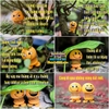 ĐỒ CHƠI EMOJI LÒ XO NHÚN NHẨY VUI NHỘN