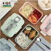 HỘP CƠM LÚA MẠCH 3 NGĂN KÈM ĐŨA THÌA INOX
