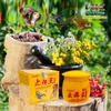 [CHUẨN 100% HÀNG CTY] KEM BÔI HỔ CẠP ĐẶC TRỊ NẤM NGỨA, GHẺ LỞ, HẮC LÀO, Á SỪNG, MỀ ĐAY, TỔ ĐỈA, VẢY NẾN
