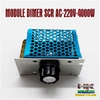 MODULE DIMER SCR AC-220V CÔNG XUẤT CAO CHỈNH ĐIỆN ÁP THIẾT BỊ ĐIỆN