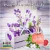 NƯỚC HOA XỊT TOÀN THÂN KARRI 30ML THƠM LÂU QUYẾN RŨ