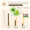 TINH CHẤT KÍCH THÍCH MỌC TÓC ZOZU 20ML NGĂN NGỪA GÃY RỤNG HỖ TRỢ NUÔI DƯỠNG PHỤC HỒI TÓC HƯ TỔN