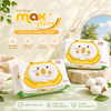 MAX CLEAN 100 tờ - không hương