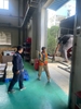 Bi cao su làm sạch Schmitz RT/RTL
