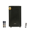 Loa karaoke di động Microtek F-1500Pro