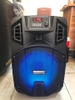 Loa-keo-Temeisheng-SL12-23