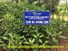 Cam Bù Hương Sơn