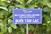 Bưởi Đỏ Tân Lạc