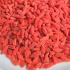 Kỷ tử (Goji berries) là trái gì? Mua kỷ tử ở đâu HCM.
