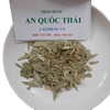 phan ta diep mua o dau hcm