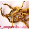 Bách bộ có công dụng chữa bệnh gì? Giá bán củ bách bộ.