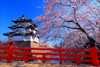 Tour gia đình - Tokyo - Núi Phú Sĩ - Tokyo (5N4Đ) (Updating...)