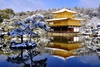 Tour gia đình - Tokyo - Núi Phú Sĩ - Tokyo (5N4Đ) (Updating...)