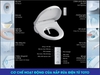 TOTO MS855DW6