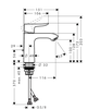 Vòi lavabo Hansgrohe Metris | 31080000