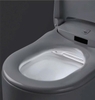 Bồn cầu điện tử full tính năng nhập khẩu Nhật Grohe Sensia Arena | 39381SH1