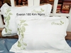 Bộ Everon Es1803