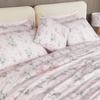 Bộ EPT 25018 NÉT CHÂN THÀNH