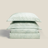 EPT26015 - Monstera
