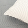 BPC 704 - PINSTRIPE