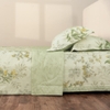 EPMOC 27025 - LILIES