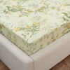 EPMOC 27025 - LILIES