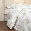 EPTMC 27028 - COTTAGE
