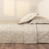 EPC 27027 - BEECH