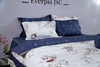 Bộ EPM 22061