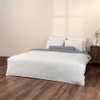 BPC 704 - PINSTRIPE