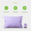 Ruột gối Lavender 2.0