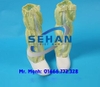 Bán buôn ủng cao cổ phòng sạch/ ủng cao cổ phòng sạch.