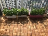 Combo 10 vỉ ván sàn gỗ tự nhiên lát ngoài trời 12 nan. ( vỉ nhựa )