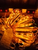 led-hat-3-bong-atx-led-cho-cac-cong-trinh-thi-cong-chuyen-nghiep